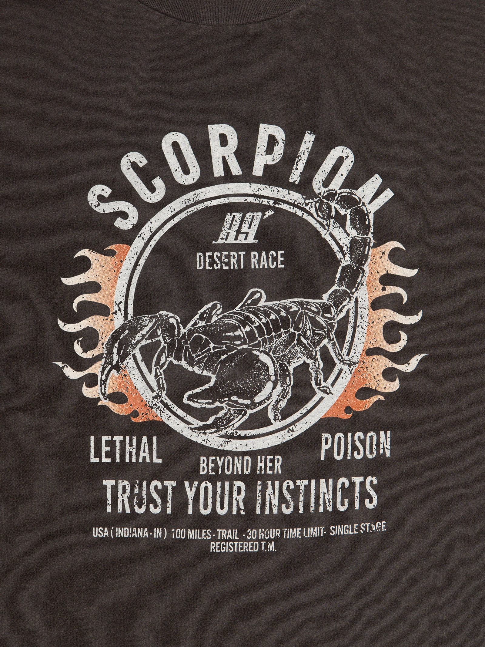 Scorpion T-Shirt - Image 7